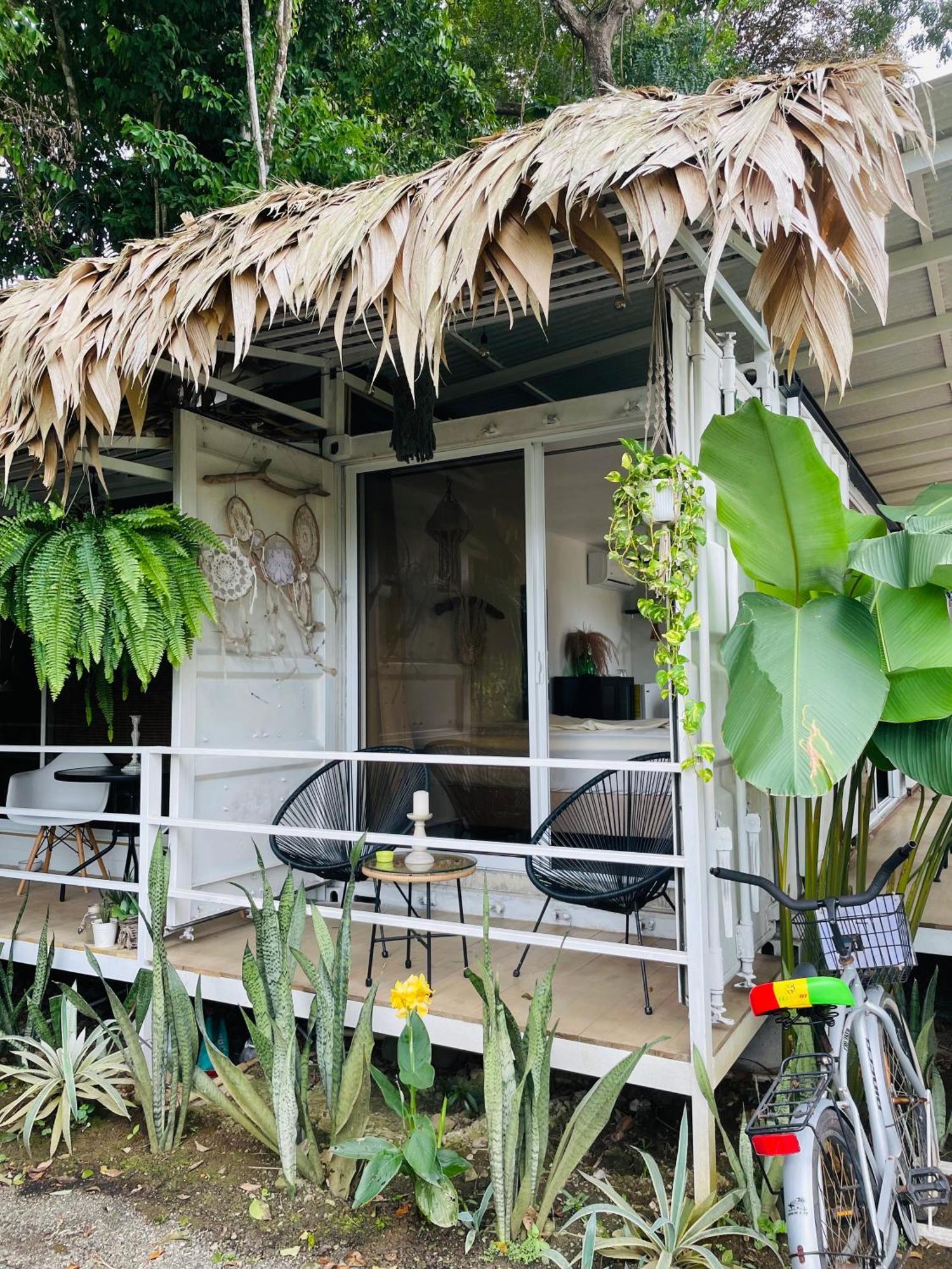 Casa Luce Bed & Breakfast Puerto Viejo de Talamanca Ngoại thất bức ảnh